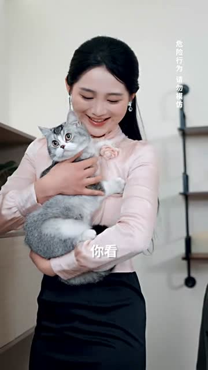 云深不见往来人（78集）短剧小说在线看