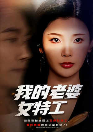 我的老婆女特工（62集）超级好看的短剧