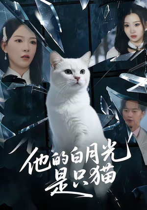 他的白月光是只猫(69集) 他的白月光是只猫(69集)免费看
