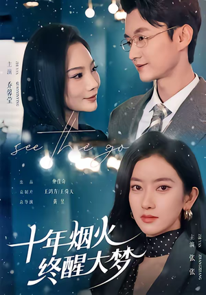 十年烟火，终醒大梦（60集）精彩好看短剧