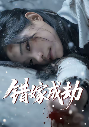 错嫁成劫（60集）口碑之选免费看