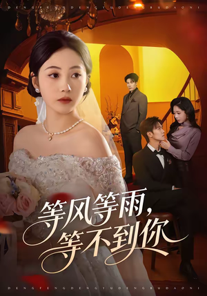 等风等雨，等不到你（65集）河马免费短剧