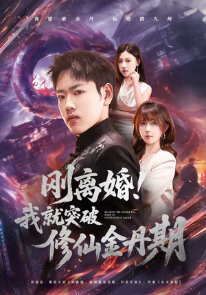 刚离婚！我就突破修仙金丹期（82集）短剧太好看了