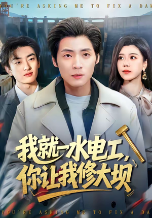 我就一水电工，你让我修大坝（65集）免费看全集