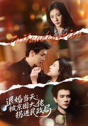 退婚当天：被京圈大佬拐进民政局（80集）免费短剧大全
