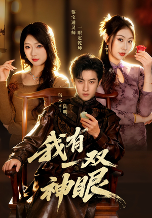 我有一双神眼（70集）解说文案