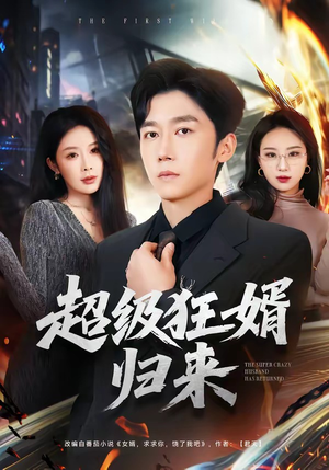 超级狂婿归来（81集）短剧热播推荐