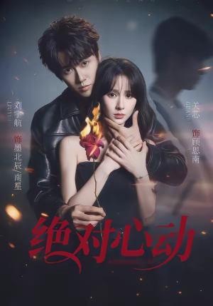 绝对心动（66集）不用花钱看全剧