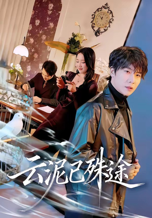 云泥已殊途（72集）女主角是谁