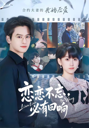 恋恋不忘，必有回响（80集）在线看免费版