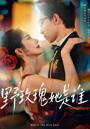 野玫瑰她是谁（84集）深深爱上这部剧