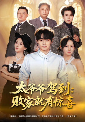 太爷爷驾到：败家就有惊喜（80集）口碑爆棚免费看