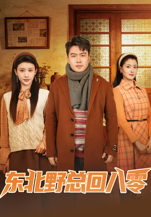 东北野总回八零（65集）80到100集