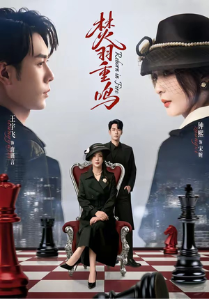 焚羽重鸣（60集）短剧免费看全集