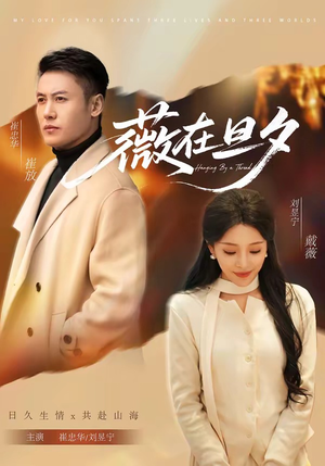 薇在旦夕(80集) 薇在旦夕(80集)精彩的网络短剧