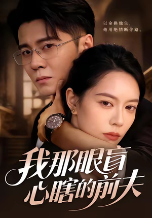 我那眼盲心瞎的前夫（61集）剧好看短剧推荐