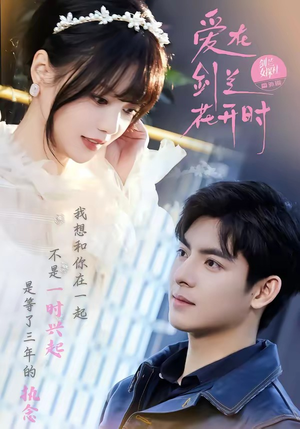 爱在剑兰花开时（56集）全集一网打尽