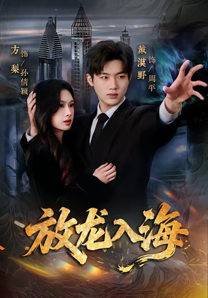 放龙入海（62集）热门火爆短剧