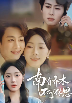 南有乔木，不可休思（68集）女主角是谁