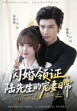 闪婚领证，陆先生的宠妻日常（86集）短剧推荐更新中
