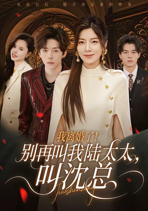 我离婚了！别再叫我陆太太，叫沈总（74集）短剧小说在线看