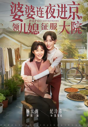 婆婆连夜进京，领儿媳征服大院（78集）精彩短剧追不停