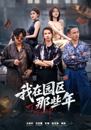 我在园区那些年（61集）真的好看吗
