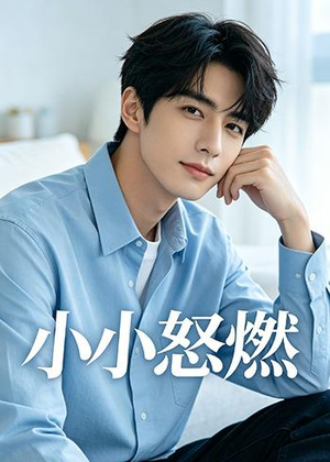 小小怒燃（19集）独家短剧免费看
