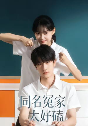 同名冤家太好磕（24集）在线观看完整版