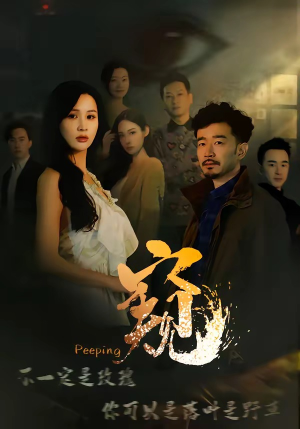 窥伺（37集）短剧排行榜