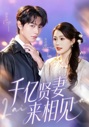 钻石贤妻来相见（72集）在线观看完整版