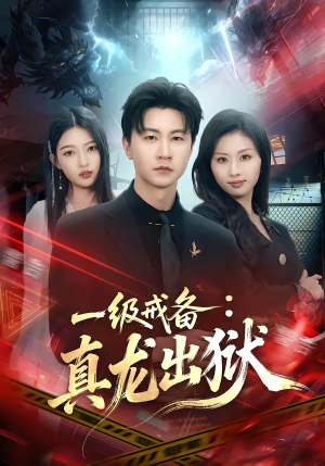 一级戒备：真龙出狱（73集）在哪个平台看好