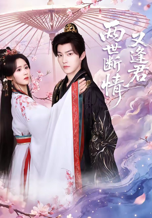 两世断情又逢君（71集）小短剧抢先看