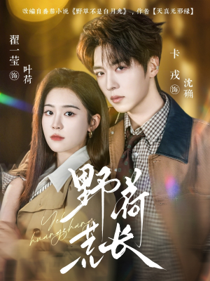 野荷荒长（86集）热门短剧来袭