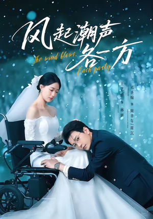 风起潮声各一方（84集）免费版