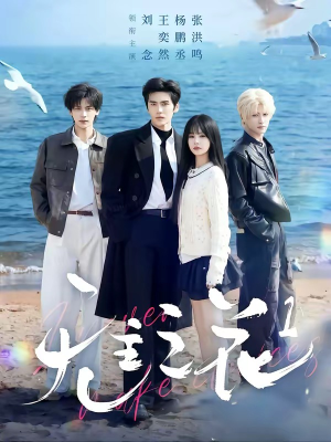无主之花1（72集）看短剧放松一下