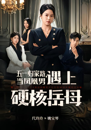 五一归家路，当凤凰男遇上硬核岳母（60集）全部免费看全集