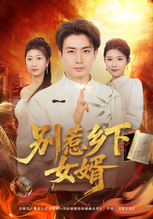 别惹乡下女婿（80集）男主角是谁