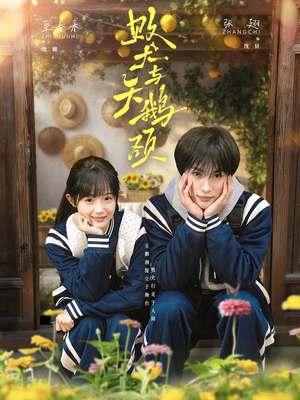 败犬与天鹅颈（71集）免费版