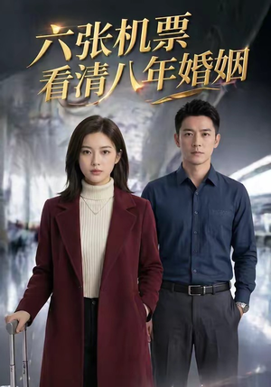 六张机票看清八年婚姻（30集）超火热门短剧