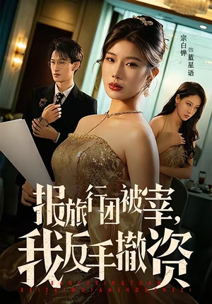 报旅行团被宰，我反手撤资（59集）精彩短剧天天看