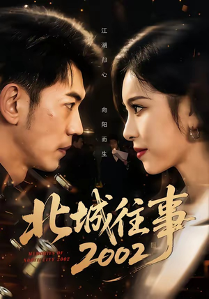 北城往事2002（60集）常回家看看短剧