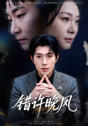 错许晚风（60集）短剧抢先看全集