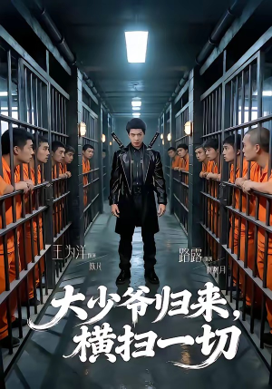 大少爷归来，横扫一切（80集）爆款热门短剧