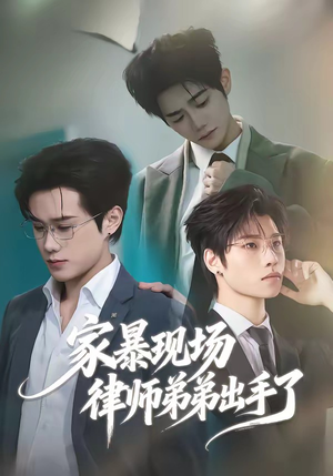 家暴现场律师弟弟出手了（30集）高清无码免费看