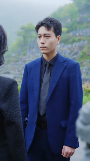 全港围剿：她继承了丈夫遗志（84集）免费观看完整版