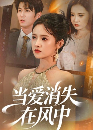 当爱消失在风中（73集）精彩短剧又来了
