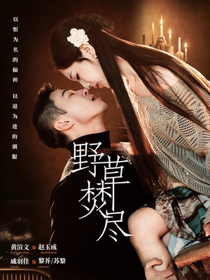 野草焚尽（74集）高清无码免费看