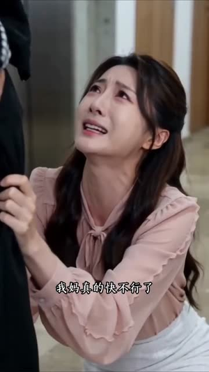 彩礼与生死抉择（67集）最新热剧免费看