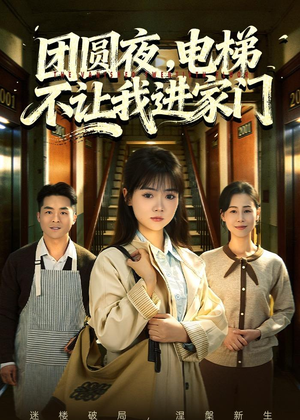 团圆夜，电梯不让我进家门（52集）短剧推荐更新中